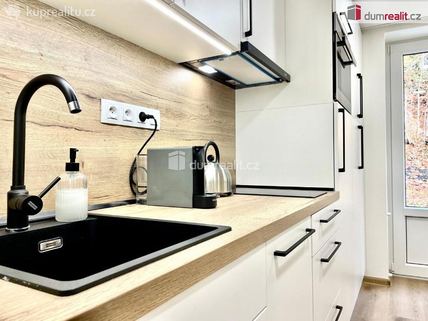 Prodej bytu 1+kk 32 m^2 K Lanovce, Jáchymov 