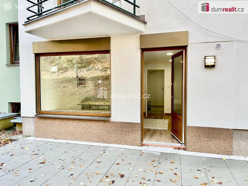 Prodej bytu 1+kk 32 m^2 K Lanovce, Jáchymov 