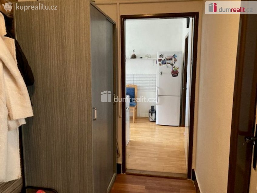 Pronájem bytu 2+1 53 m^2 Puklicova, České Budějovice 