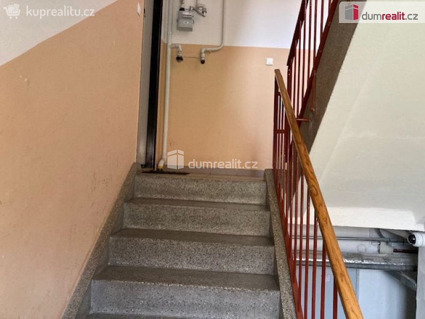 Pronájem bytu 2+1 53 m^2 Puklicova, České Budějovice 