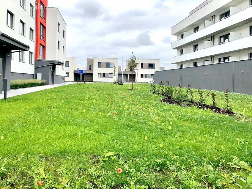 Pronájem bytu 2+kk 62 m^2 Zelnice II, Brno 68401