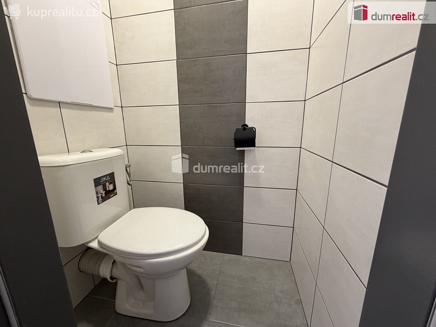 Pronájem bytu 2+1 58 m^2 Kollárova, Ostrov 