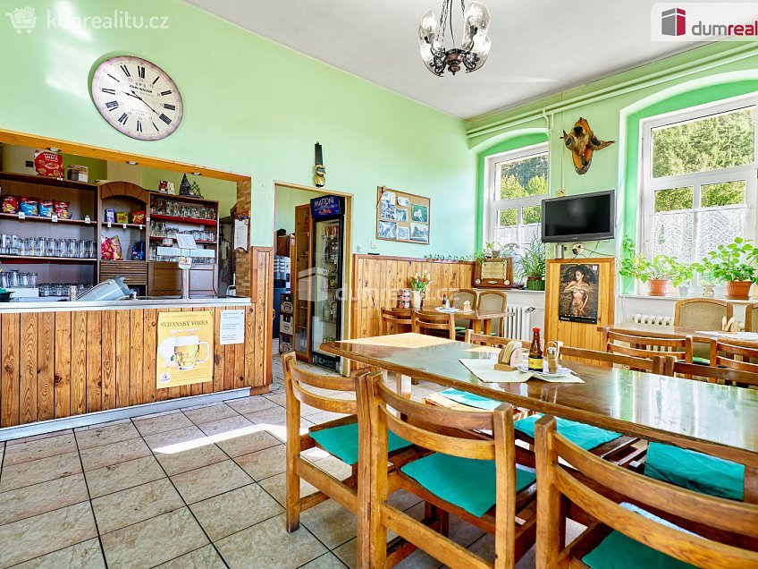 Prodej  rodinného domu 524 m^2 ČSA, Hroznětín 