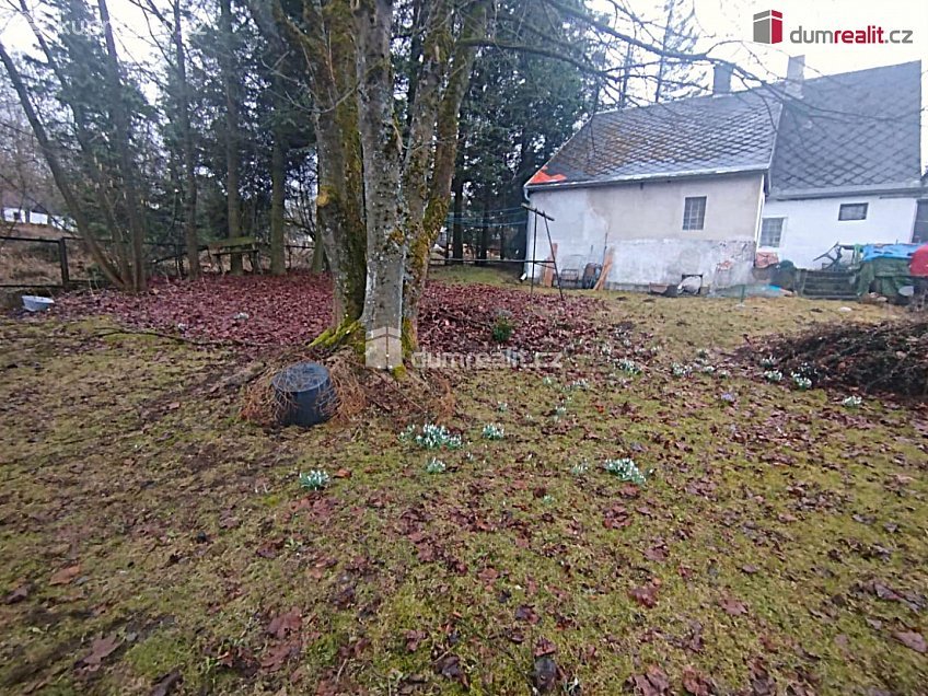 Prodej  chalupy 162 m^2 Nová Ves v Horách, Nová Ves v Horách 