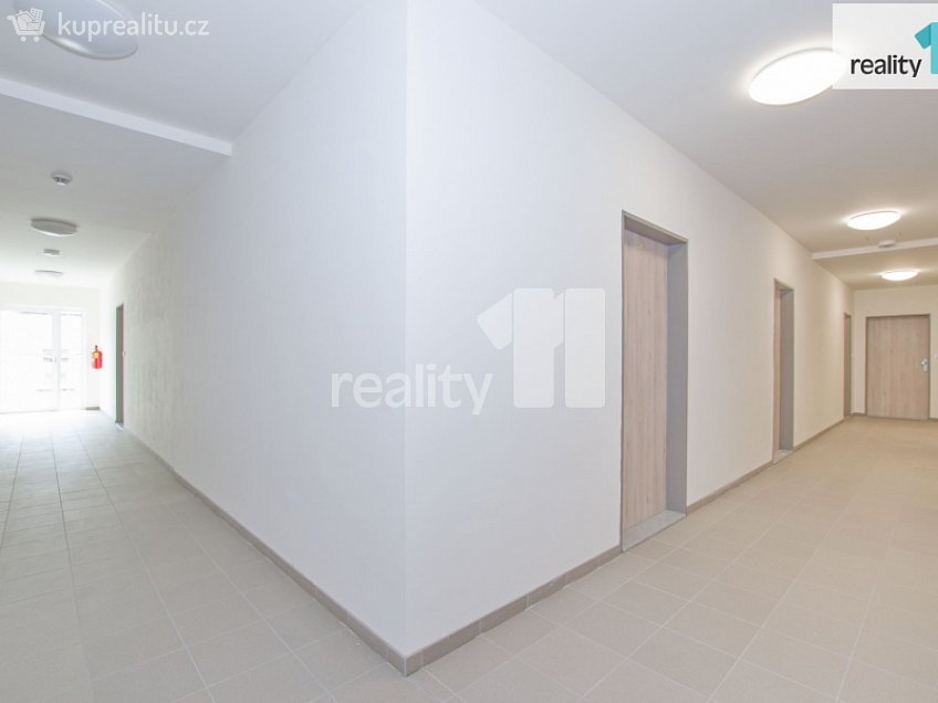 Pronájem bytu 2+kk 74 m^2 Papírová, Liberec 