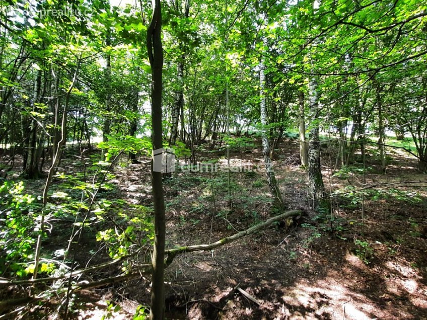 Prodej  stavebního pozemku 5544 m^2 Pod Skalkou, Liberec 