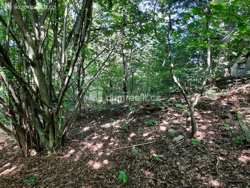 Prodej  stavebního pozemku 5544 m^2 Pod Skalkou, Liberec 