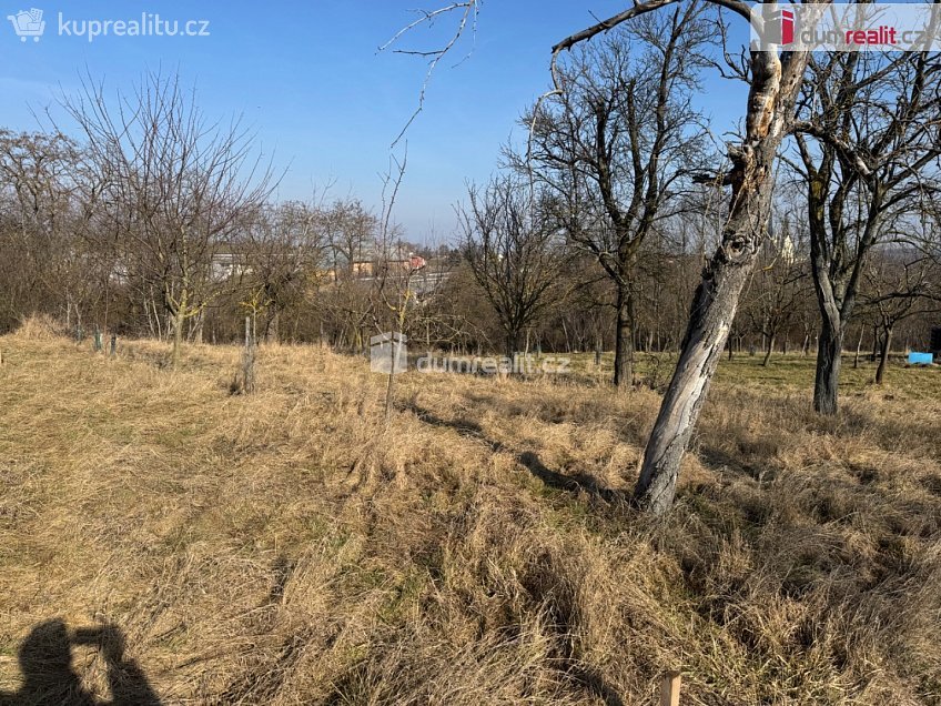 Prodej  zahrady 668 m^2 Rataje, Rataje 