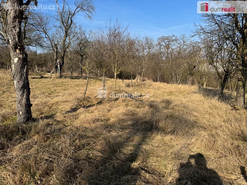 Prodej  zahrady 668 m^2 Rataje, Rataje 