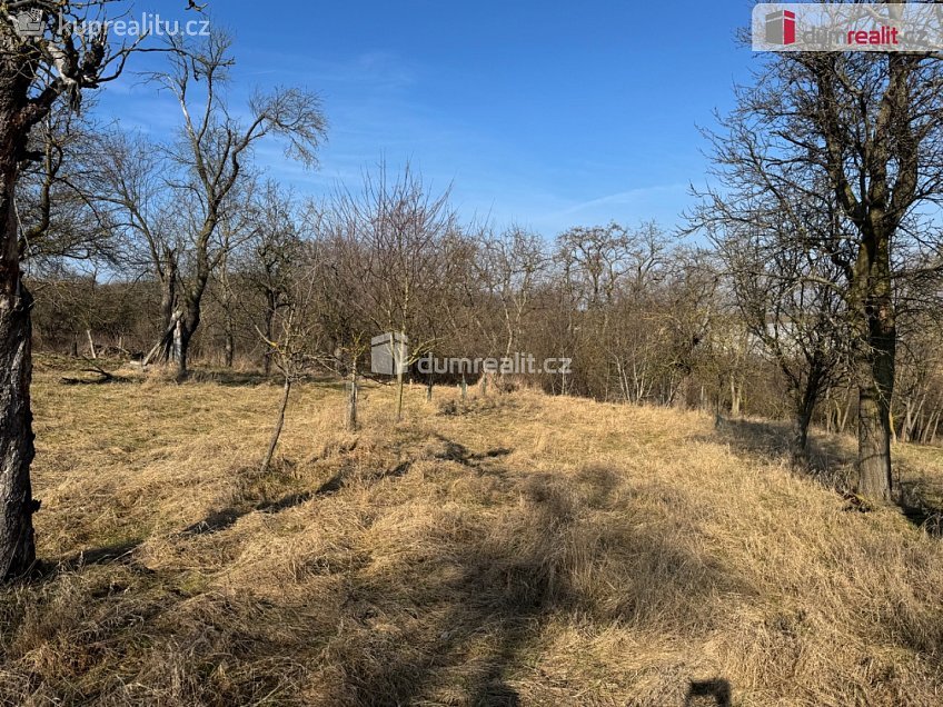 Prodej  zahrady 668 m^2 Rataje, Rataje 