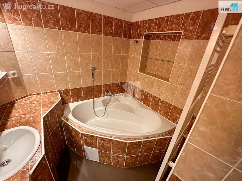 Pronájem bytu 3+kk 90 m^2 Lipová, Dobřany 