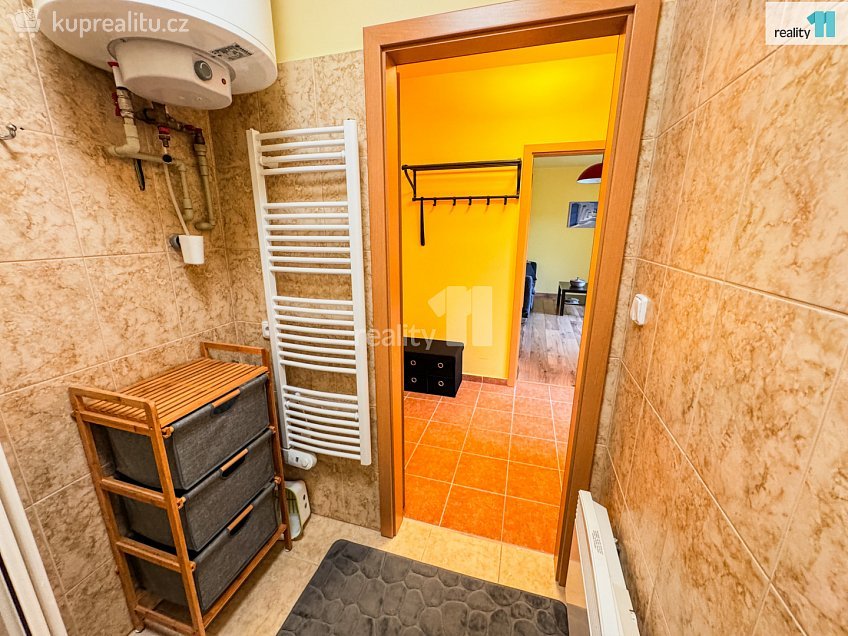 Prodej bytu 2+1 61 m^2 Slapy, Slapy 