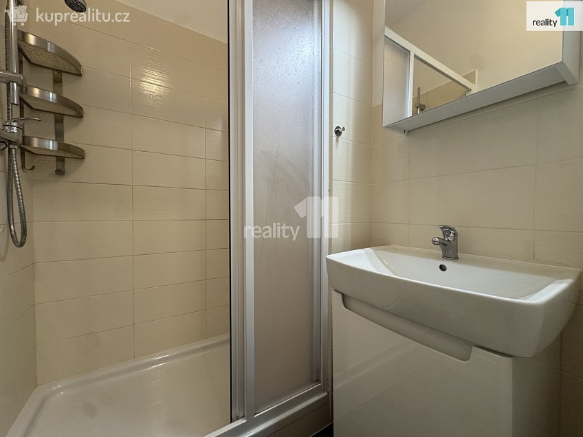 Pronájem bytu 3+kk 55 m^2 Svatoplukova, Praha 2 