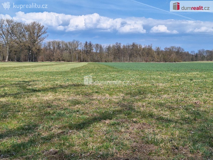 Prodej  pole 23392 m^2 Loukov, Loukov 