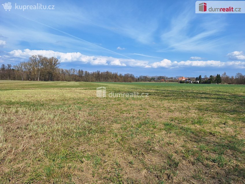 Prodej  pole 23392 m^2 Loukov, Loukov 