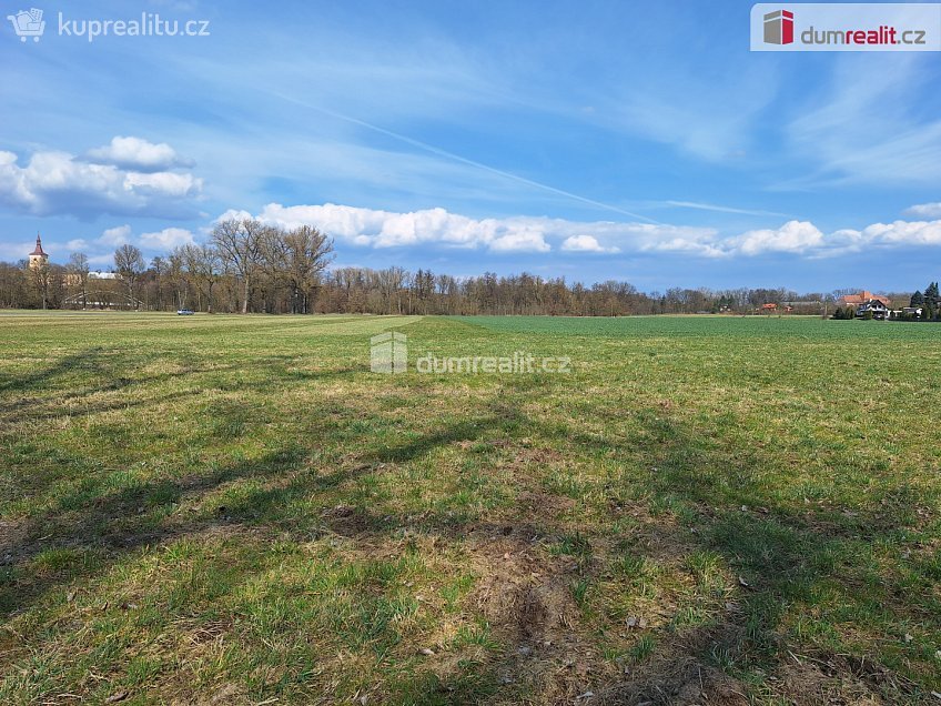 Prodej  pole 23392 m^2 Loukov, Loukov 