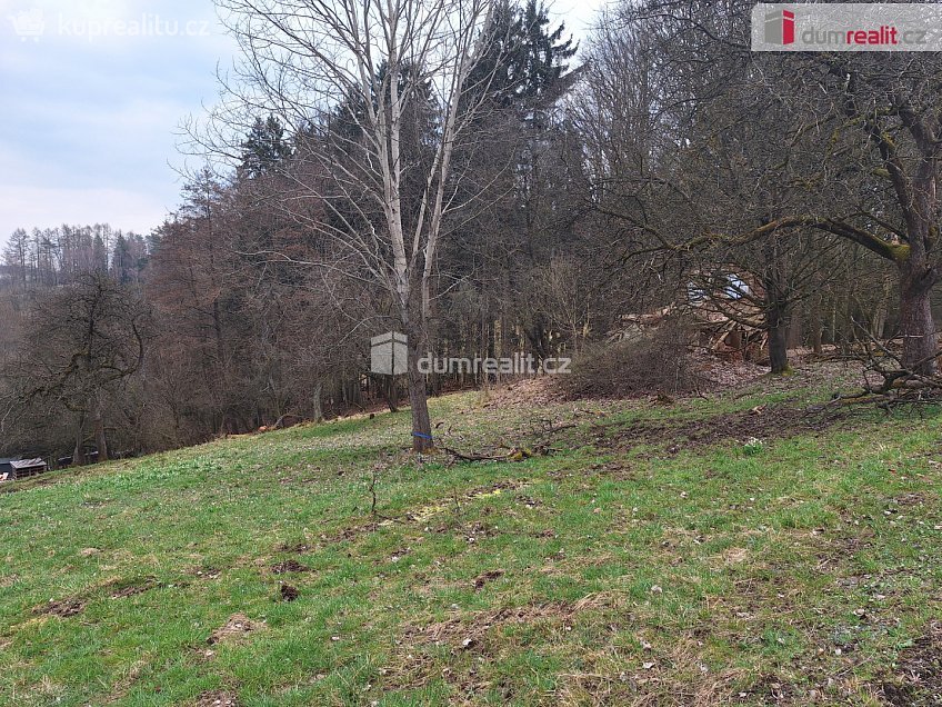 Prodej  stavebního pozemku 5444 m^2 Semily, Semily 