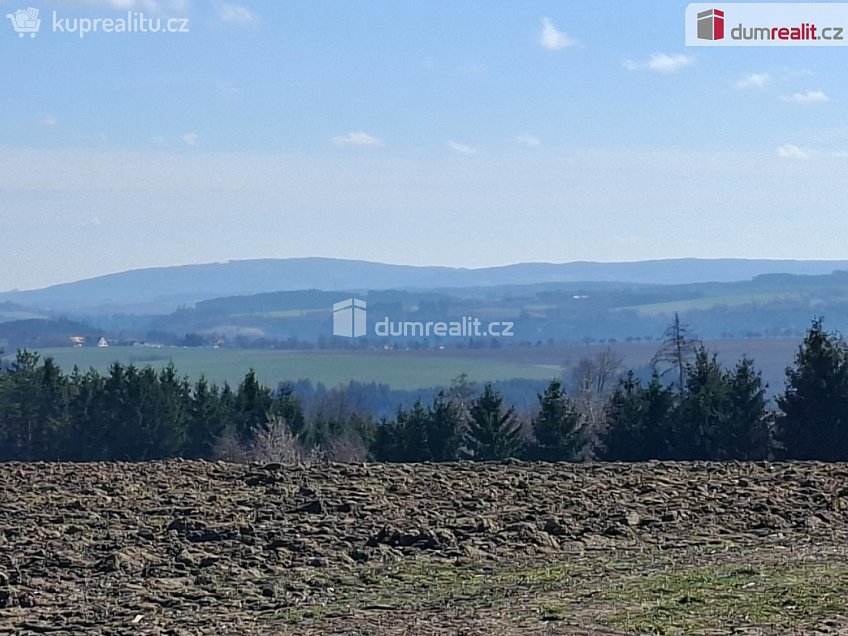 Prodej  stavebního pozemku 1981 m^2 Řendějov, Řendějov 