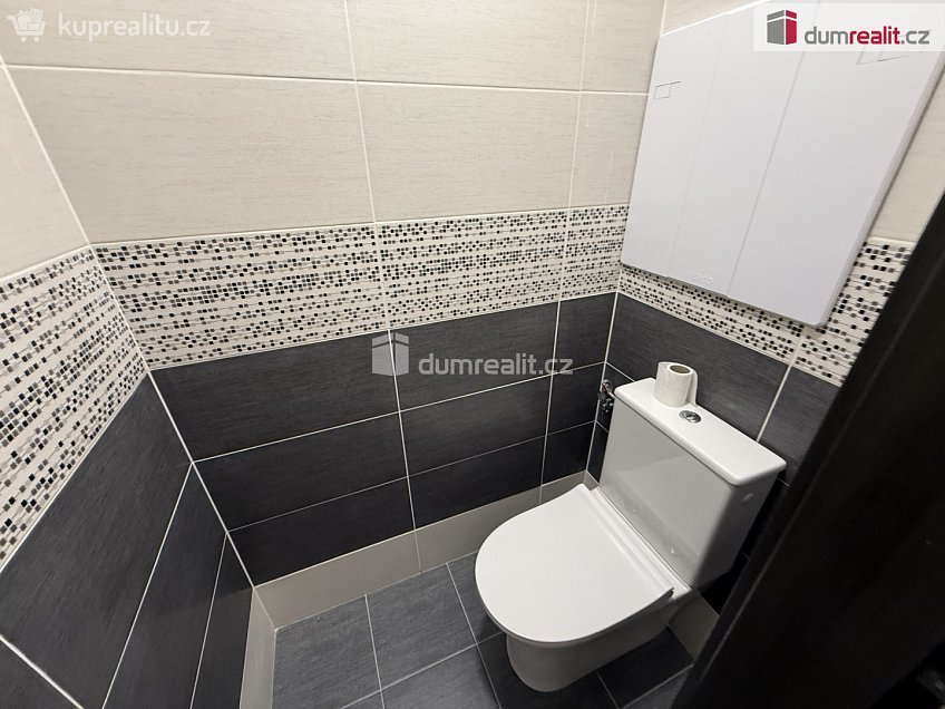 Pronájem bytu 2+1 53 m^2 Kollárova, Krupka 