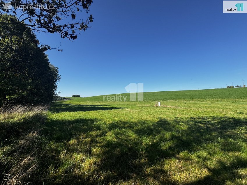 Prodej  stavebního pozemku 3737 m^2 Bušovice, Bušovice 