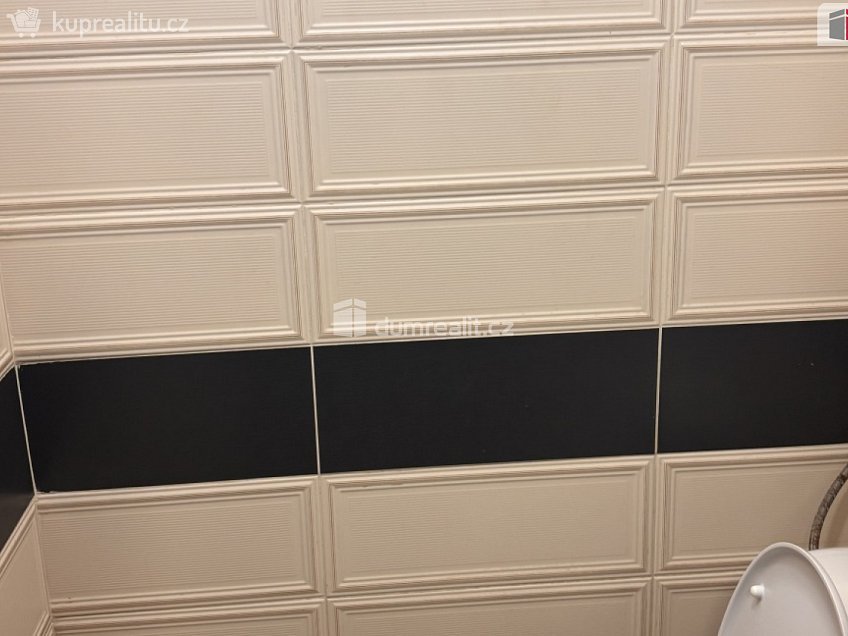 Pronájem bytu 1+kk 15 m^2 Mezi úvozy, Praha 20 