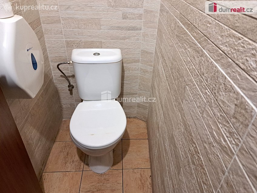 Prodej  obchodních prostor 126 m^2 Masarykova, Ústí nad Labem 