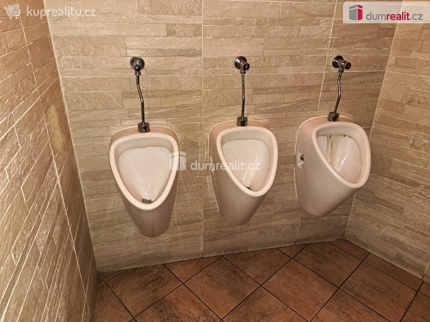 Prodej  obchodních prostor 126 m^2 Masarykova, Ústí nad Labem 