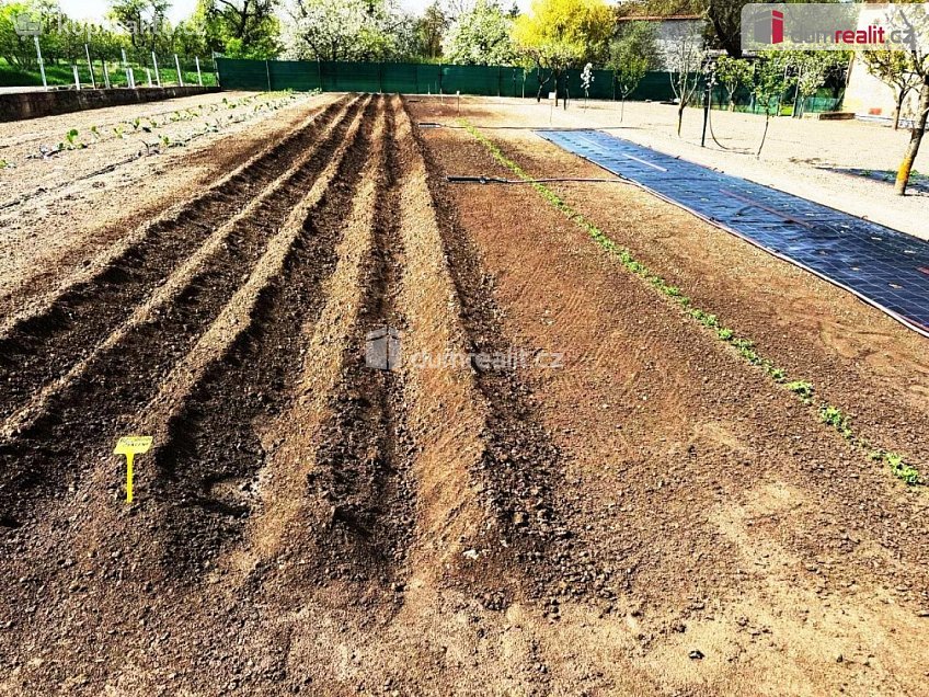 Prodej  usedlosti 281 m^2 Liběšice, Liběšice 