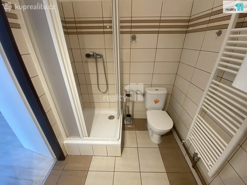 Pronájem bytu 1+1 35 m^2 Palackého, Dobřany 