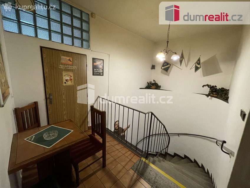 Pronájem  komerční reality 281 m^2 Ostrožná, Opava 