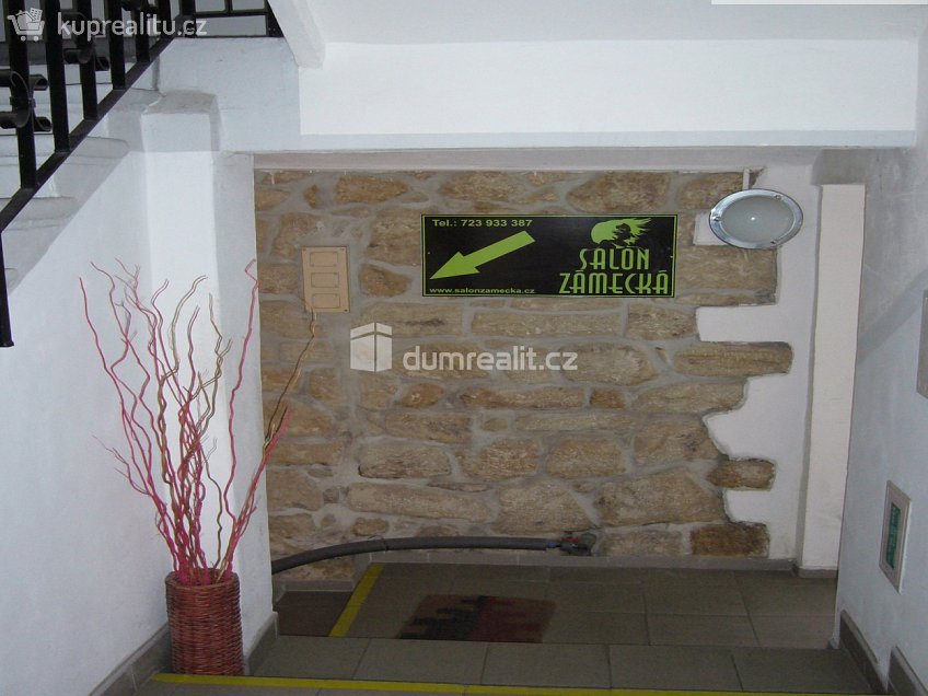 Pronájem  obchodních prostor 40 m^2 Křížová, Děčín 