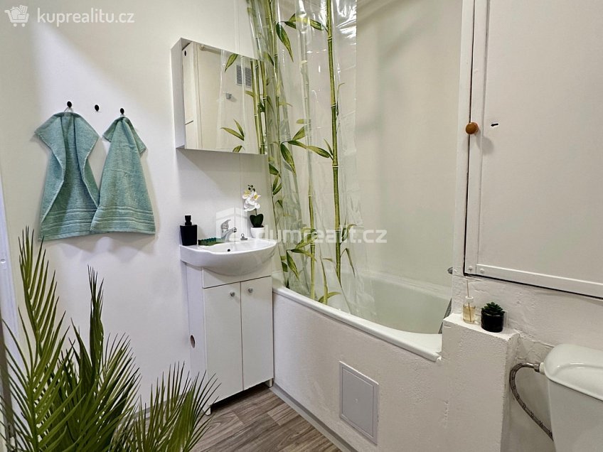 Pronájem bytu 1+1 36 m^2 Lipová, Děčín 