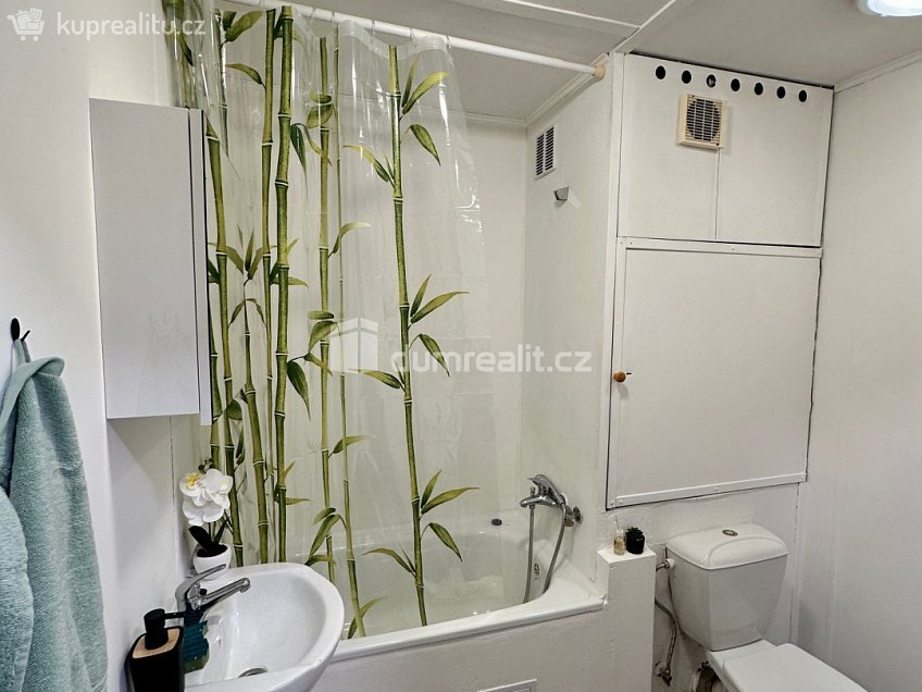Pronájem bytu 1+1 36 m^2 Lipová, Děčín 