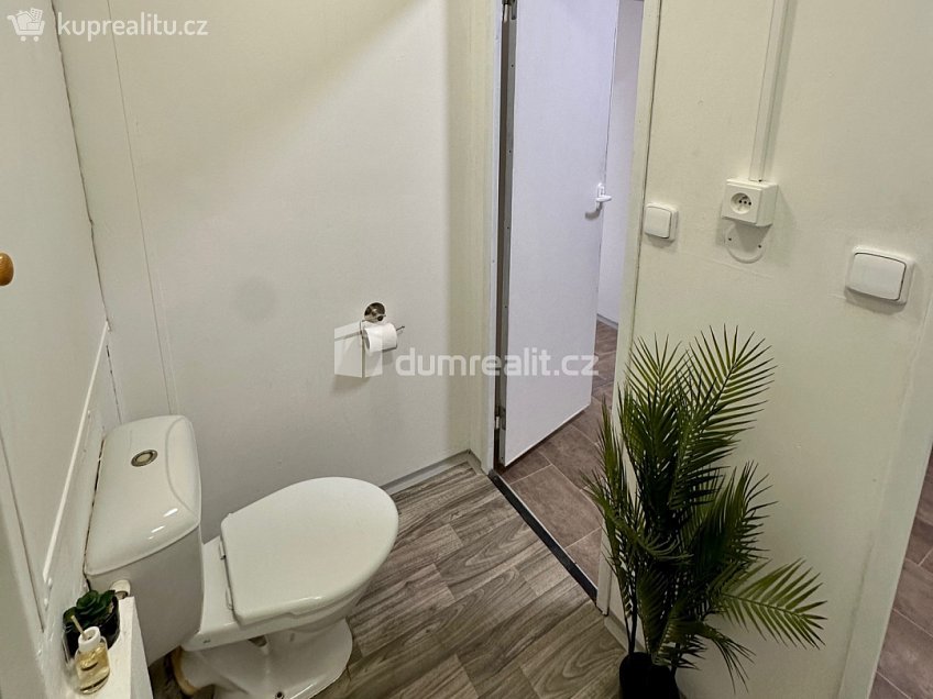 Pronájem bytu 1+1 36 m^2 Lipová, Děčín 