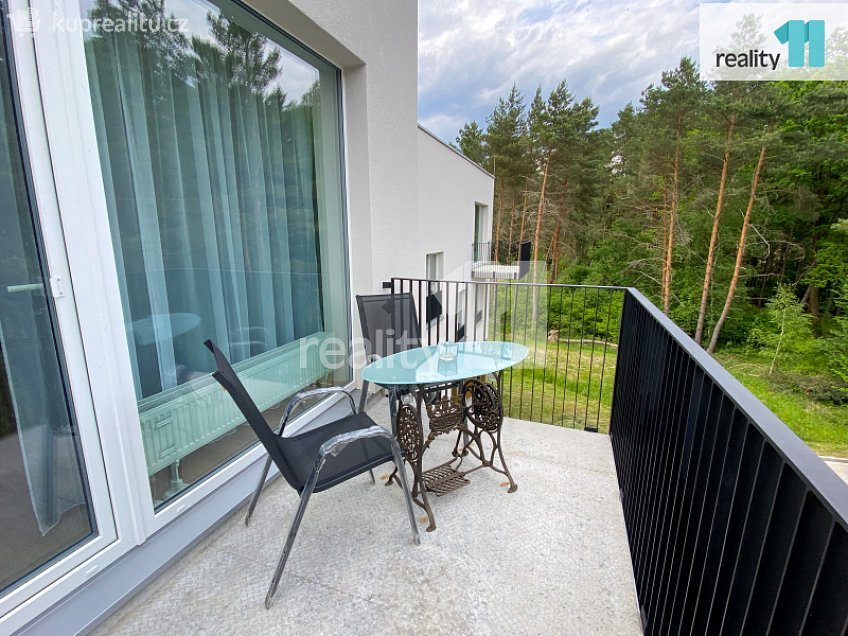 Pronájem bytu 1+kk 30 m^2 K Zelené louce, Plzeň 