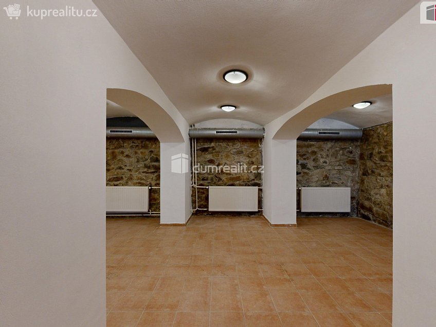 Pronájem  komerční reality 120 m^2 Pekařská, Opava 