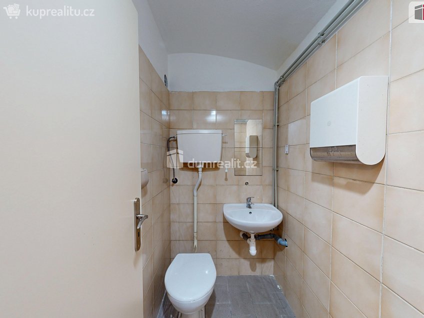 Pronájem  komerční reality 120 m^2 Pekařská, Opava 