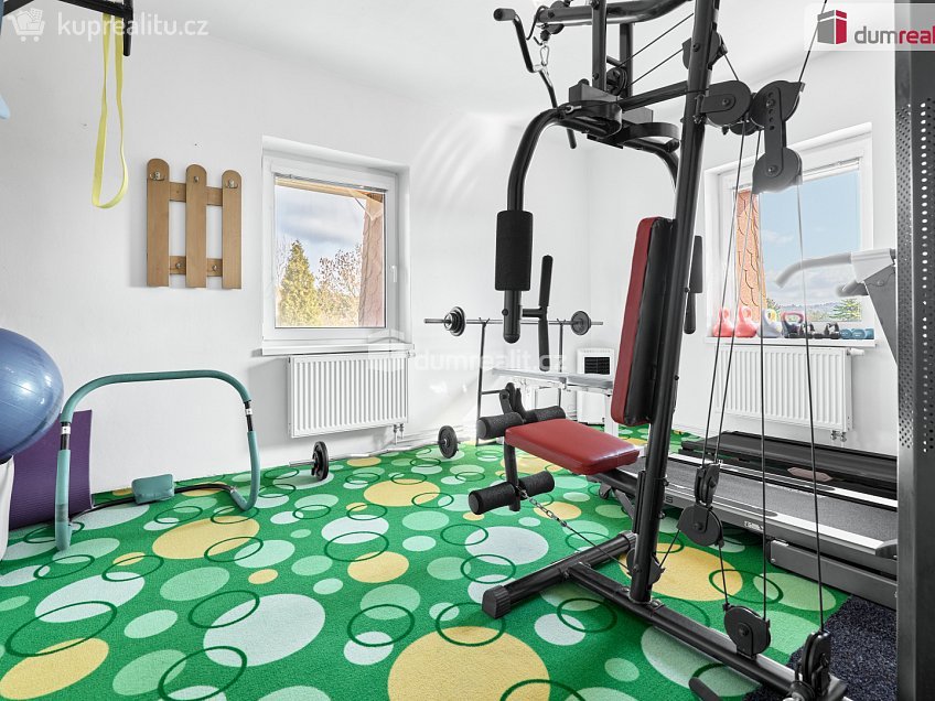 Prodej  rodinného domu 340 m^2 Krušnohorská, Ostrov 