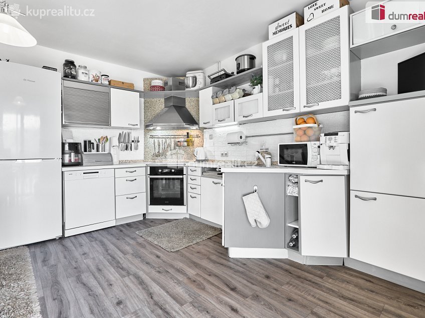 Prodej  rodinného domu 340 m^2 Krušnohorská, Ostrov 