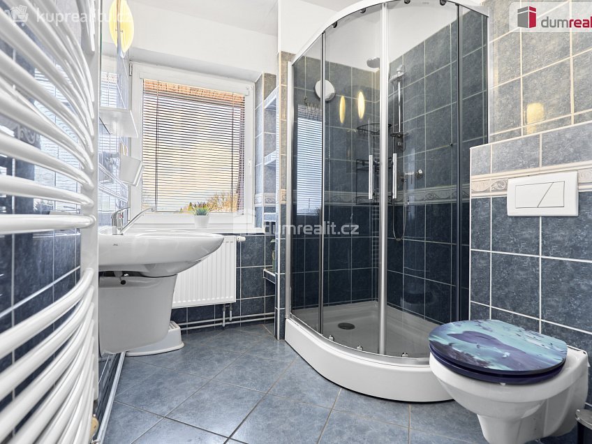 Prodej  rodinného domu 340 m^2 Krušnohorská, Ostrov 