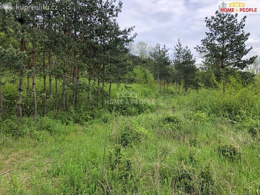 Prodej  výrobních prostor 23788 m^2 Mělnická, Všetaty 