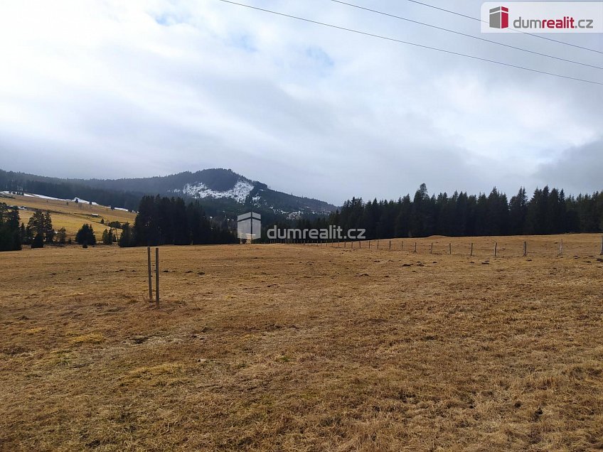 Prodej  louky 1321 m^2 Horská Kvilda, Horská Kvilda 