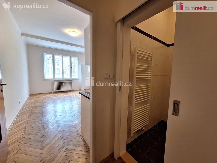 Pronájem bytu 1+kk 28 m^2 Jana Masaryka, Praha 2 