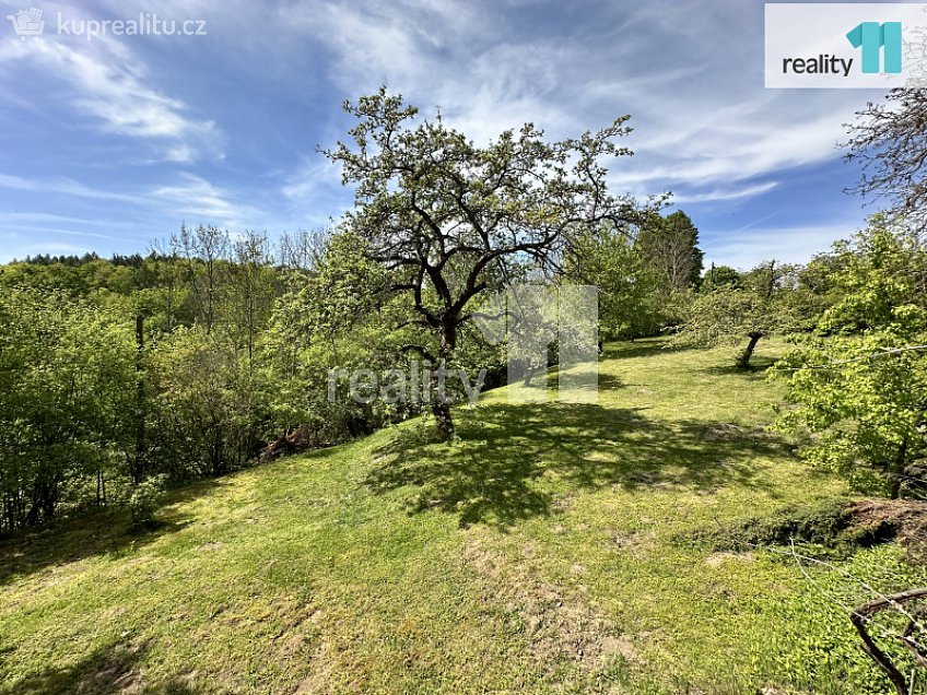 Prodej  chaty 90 m^2 Medonosy, Medonosy 