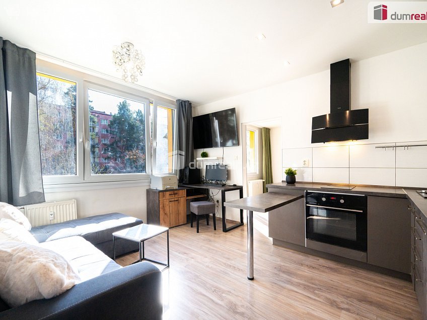 Prodej bytu 1+1 39 m^2 Lidická tř., České Budějovice 