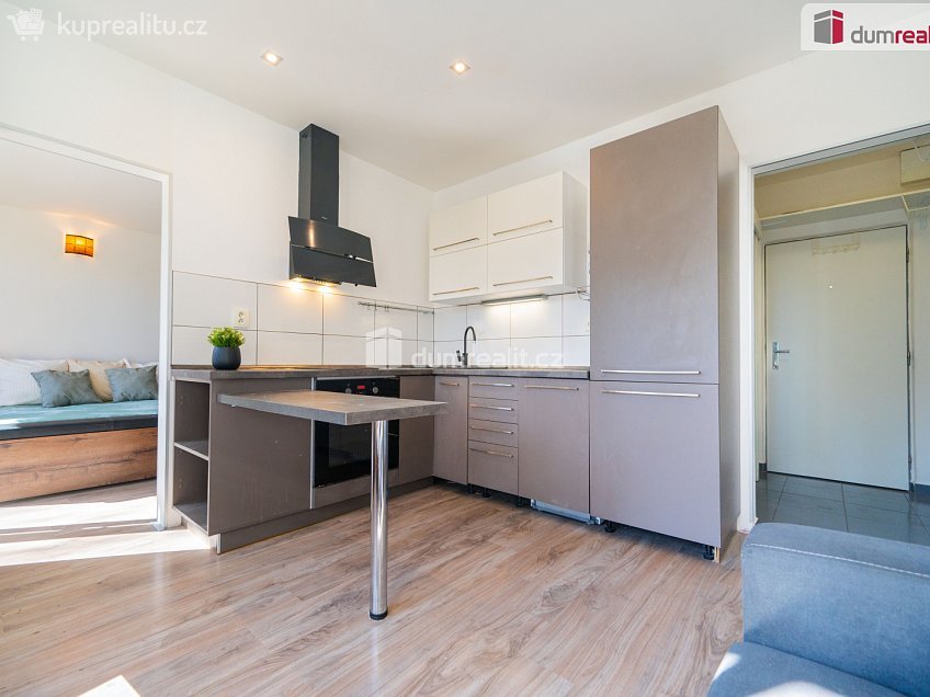 Prodej bytu 1+1 39 m^2 Lidická tř., České Budějovice 