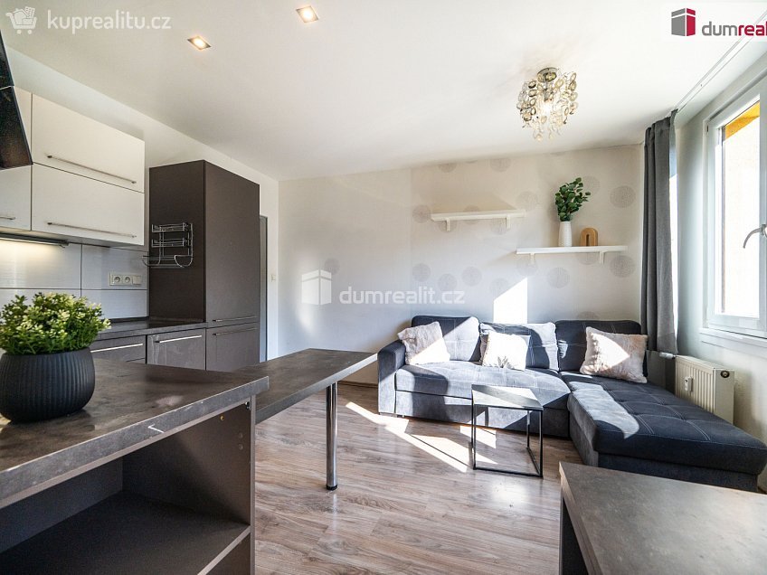 Prodej bytu 1+1 39 m^2 Lidická tř., České Budějovice 