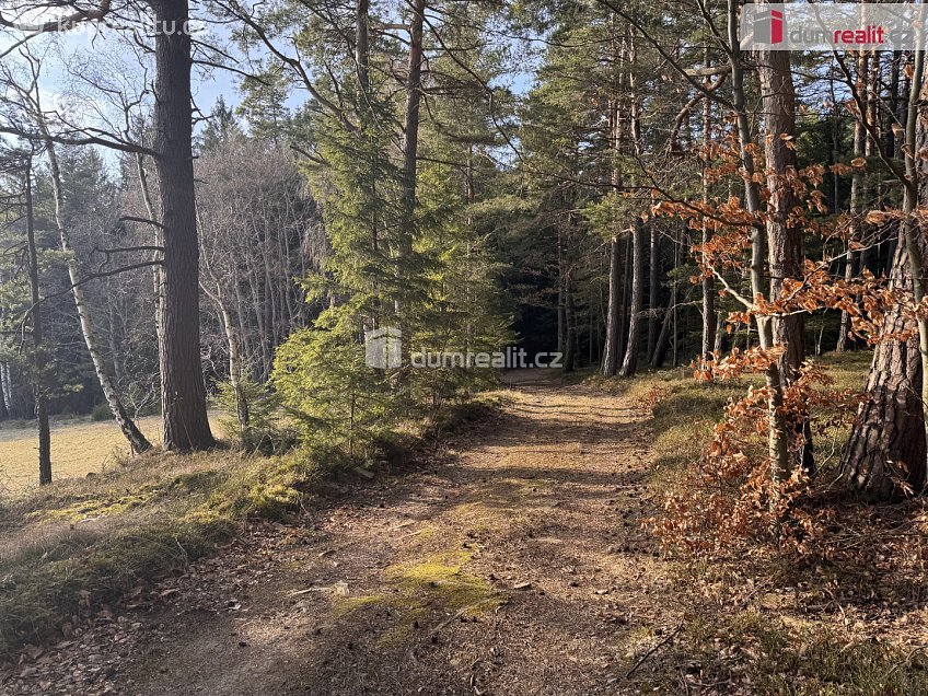 Prodej  lesa 11340 m^2 Nebahovy, Nebahovy 