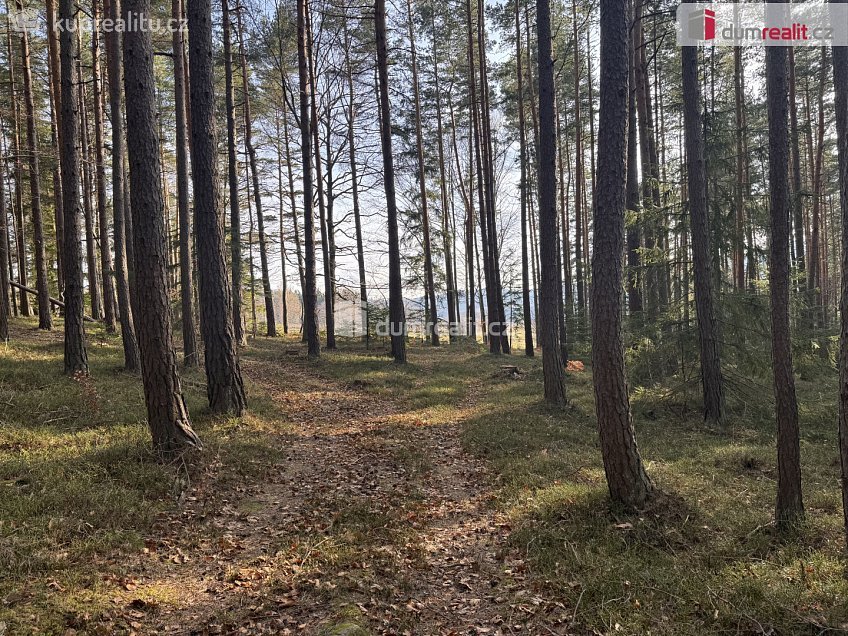 Prodej  lesa 11340 m^2 Nebahovy, Nebahovy 