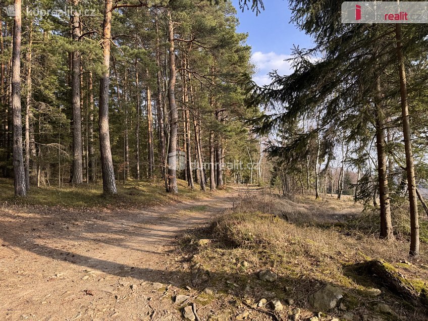 Prodej  lesa 11340 m^2 Nebahovy, Nebahovy 